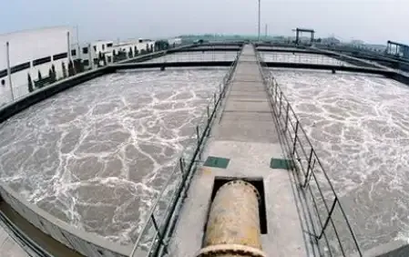 污水治理中污泥异常的正确理解与处置建议
